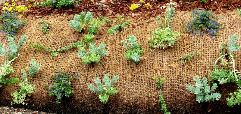 Erosion Control Measures