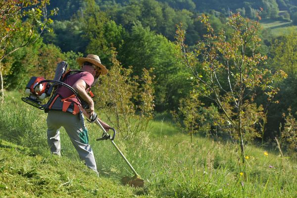 Cost of Slope Trimming in Fort Walton Beach